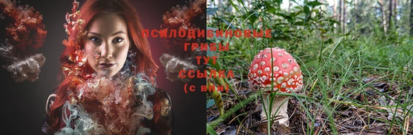 ПСИЛОЦИБИНОВЫЕ ГРИБЫ Усолье-Сибирское