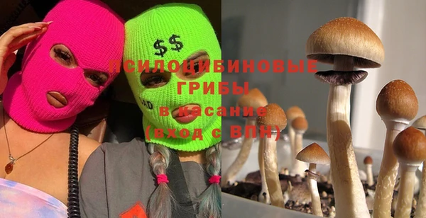 ПСИЛОЦИБИНОВЫЕ ГРИБЫ Усолье-Сибирское